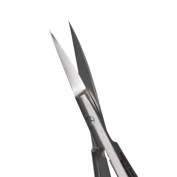 tweezer anole 1