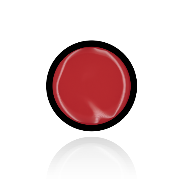anole rubber corrector cover 31