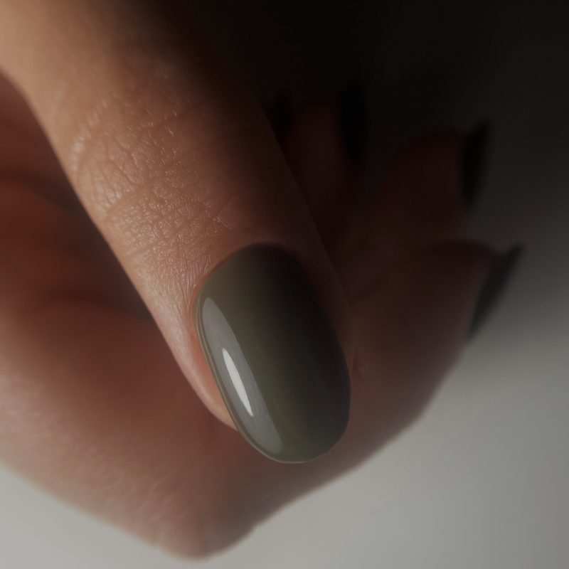 Anole gelpolish earthy tones ET01