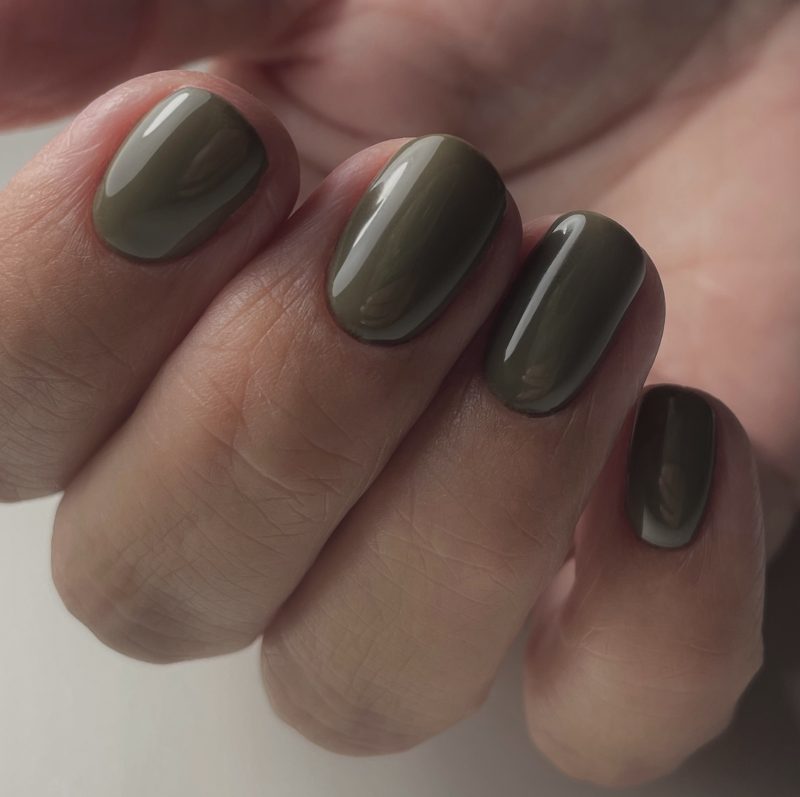 anole gelpolish earthy tones ET01